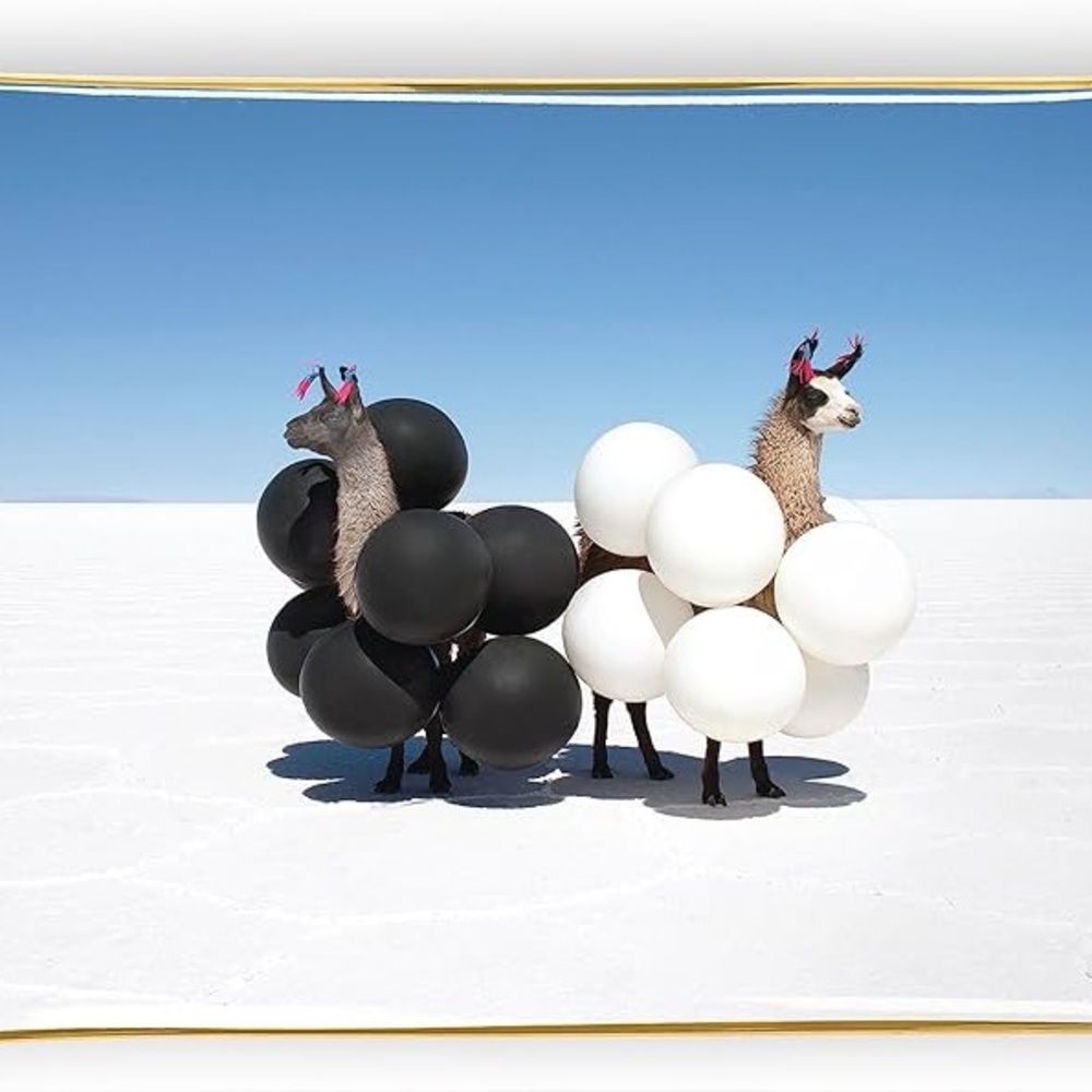 Galison Gray Malin‎ Llamas Porcelain Tray Black/ White Balloon Llama NIB trinket